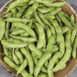 Beans, Soy Edamame