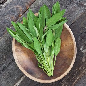 Sage, Garden