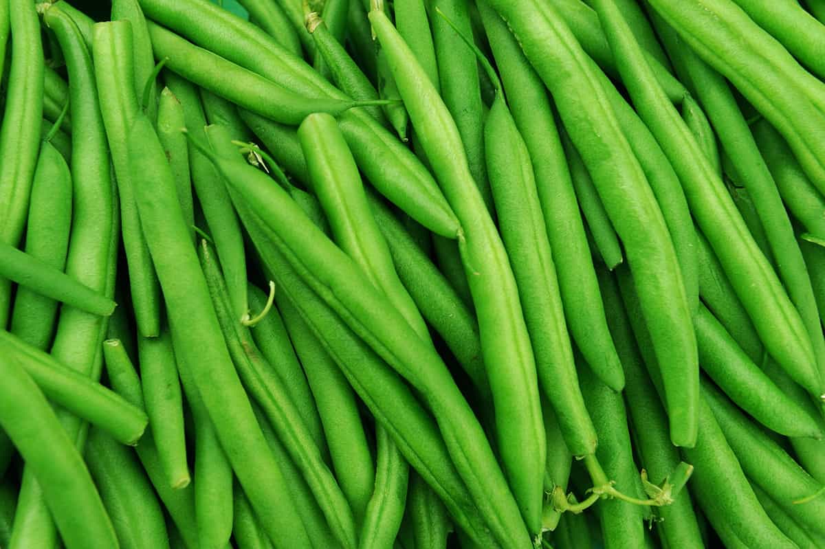 Beans