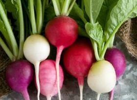 Radish