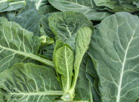 Collards