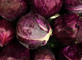 Radicchio