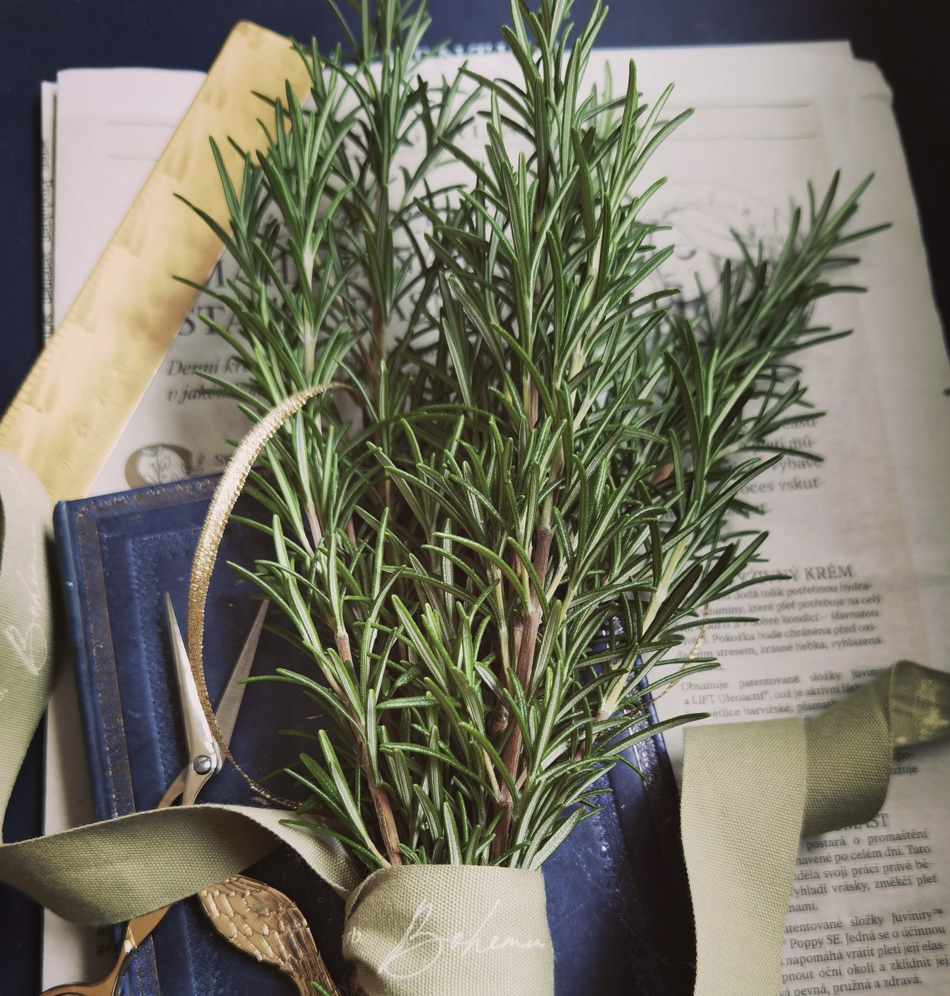 Wedding 6 Plant Bundle